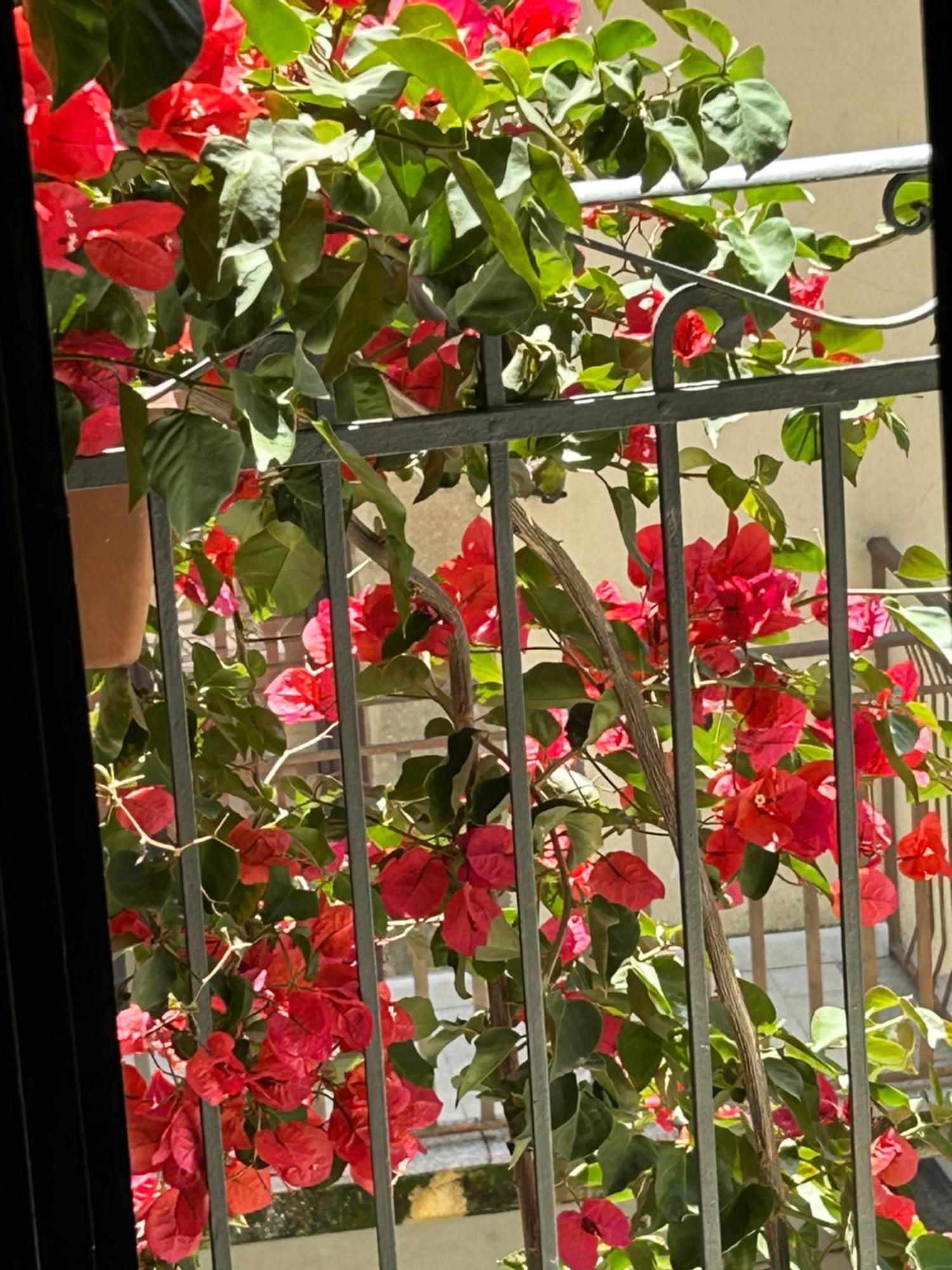 B&B L'Angolo Sulla Piazza Mirabella Imbaccari Dış mekan fotoğraf