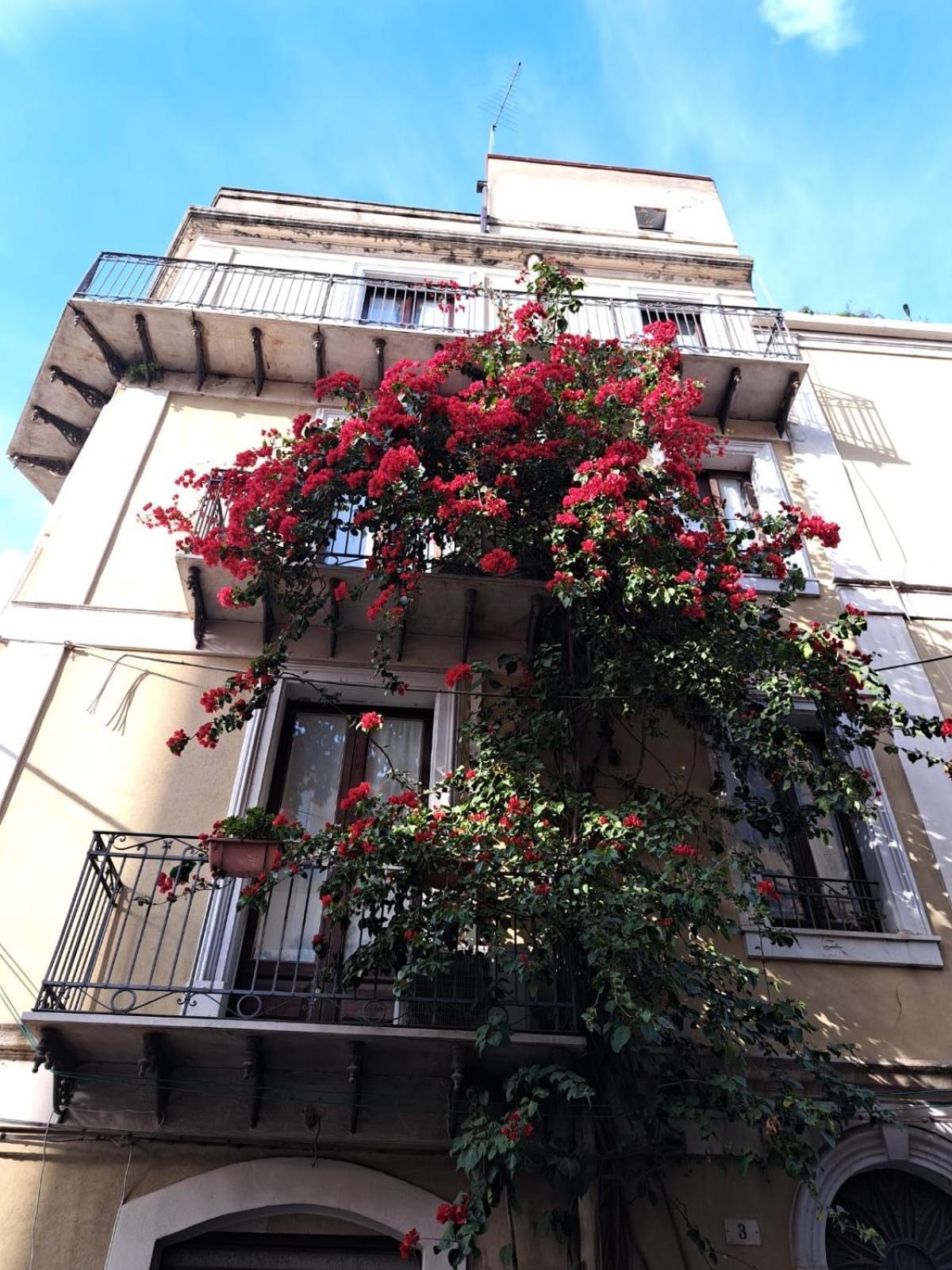 B&B L'Angolo Sulla Piazza Mirabella Imbaccari Dış mekan fotoğraf